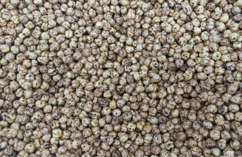 4 TL'ye leblebi aldı: Sıcak çıkmayınca yaptığı şey yok artık dedirtti!