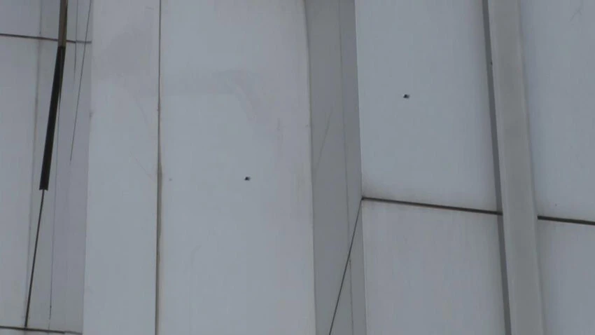 Şehrin göbeğinde Dilan Polat'a ait güzellik merkezine silahla ateş açıldı