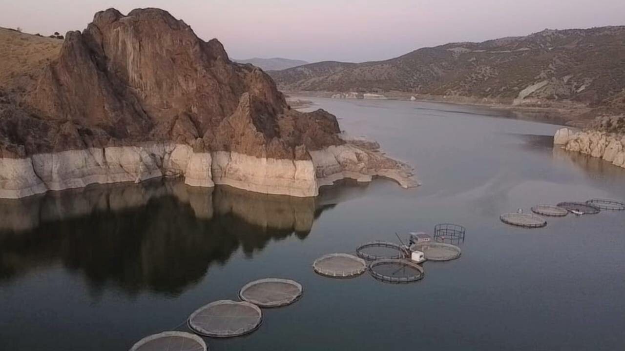 Arazisi sular altında kaldı, baraja kurduğu kafesle bozkırın ortasında balık yetiştirdi!