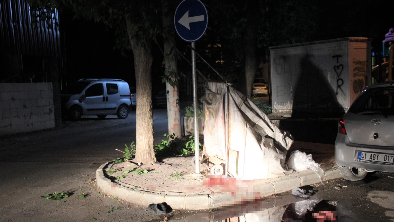 Hiç tanımadığı kişiyi öldürdü: Oyun içinde olduğunu düşünüyordum