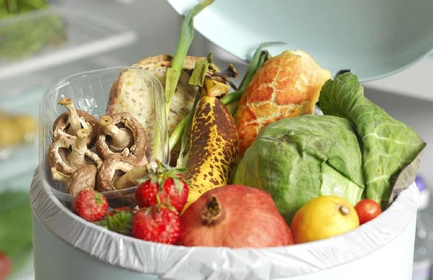 Ekmek israfı zirvede! Her yıl çöpe atılanlarla 500 okul yapmak mümkün