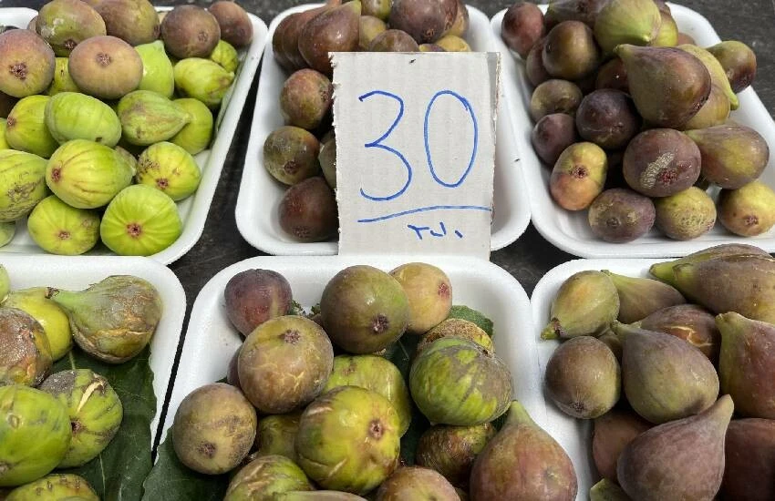 Tüketicinin yüzü bu defa güldü: Vatandaş fiyatlarla incire doyuyor…