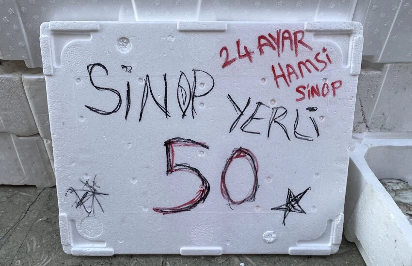 Vatandaşlar bayram etti! Hamsi fiyatları yarı yarıya düştü...
