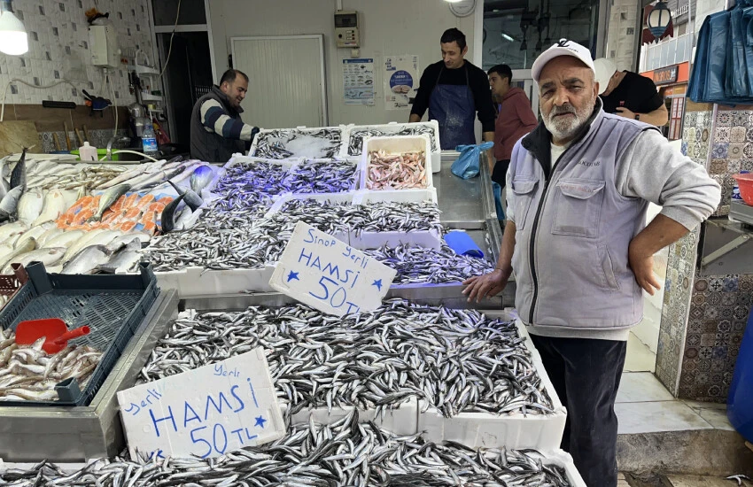 Vatandaşlar bayram etti! Hamsi fiyatları yarı yarıya düştü...