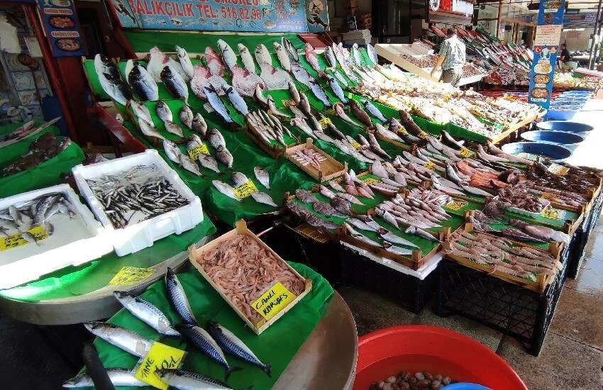 Vatandaşa balık müjdesi! İştah kabartan fiyatlar: Hamsi ve lüfer bu hafta yok satıyor…