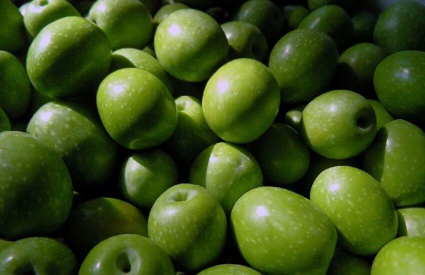 Sofralık zeytinde dünya markası! Rekor kırıldı: İhracat 100 bin tonu aştı…