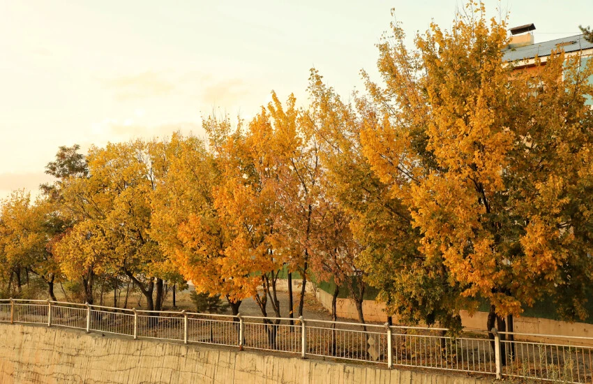 Ağrı'da kartpostallık manzaralar