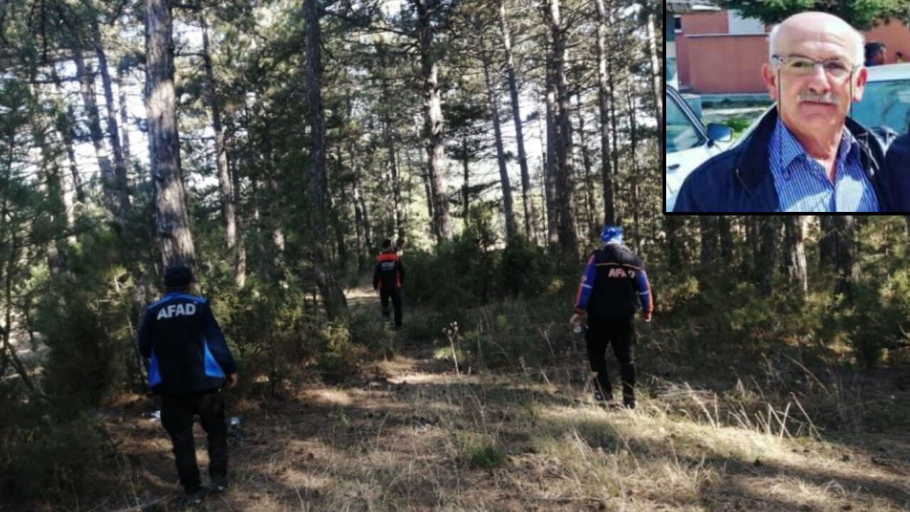 Mantar toplamaya giden yaşlı adam ormanda kayboldu