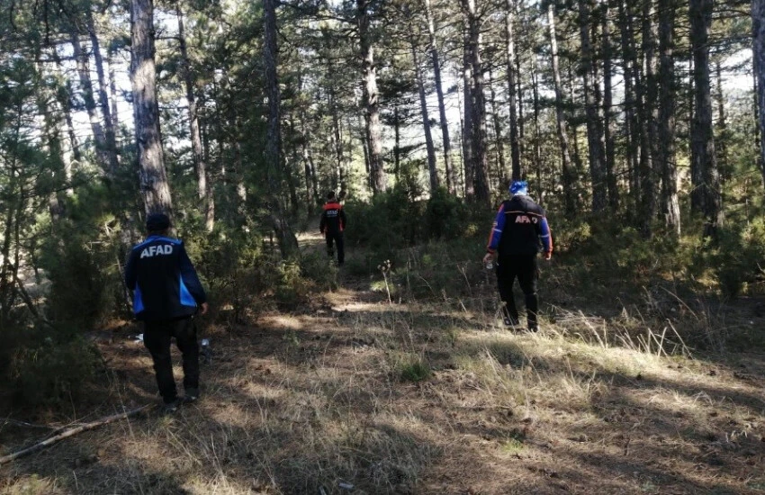 Mantar toplamaya giden yaşlı adam ormanda kayboldu
