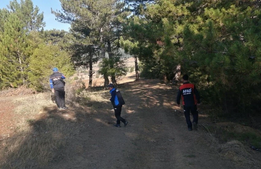 Mantar toplamaya giden yaşlı adam ormanda kayboldu