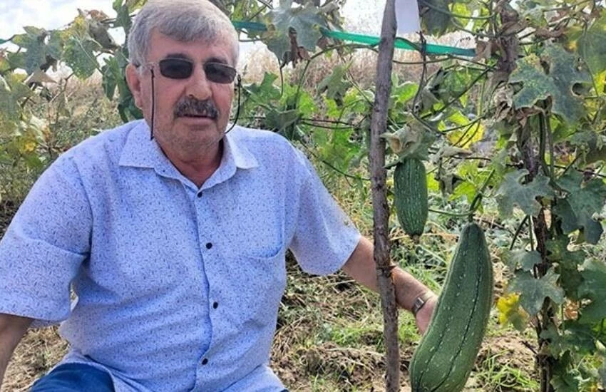 Deneme amaçlı ekti, sonuca kendisi bile inanamadı! Lif kabağında verim beklenenin üzerinde...