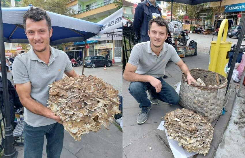 Umduğunu değil bulduğunu sattı! 17 kiloluk dev <a href=