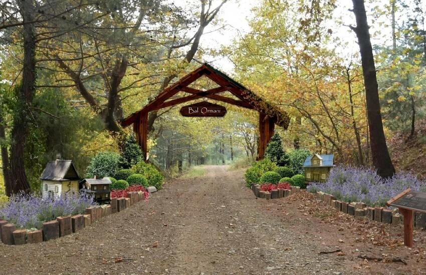 Bal tadında yatırım: Türkiye’nin en büyük bal ormanı geliyor! Hazine, Kaz Dağları’nda olacak…