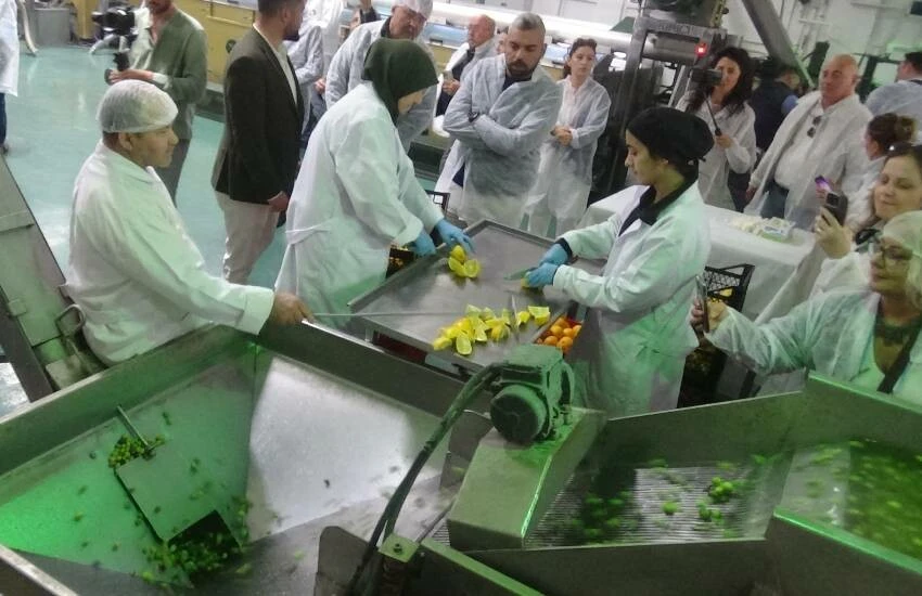 Zeytinyağında iki farklı tadı bir araya getirdiler ‘yok böyle lezzet’ dedirttiler! Şimdi paraya para demiyorlar…