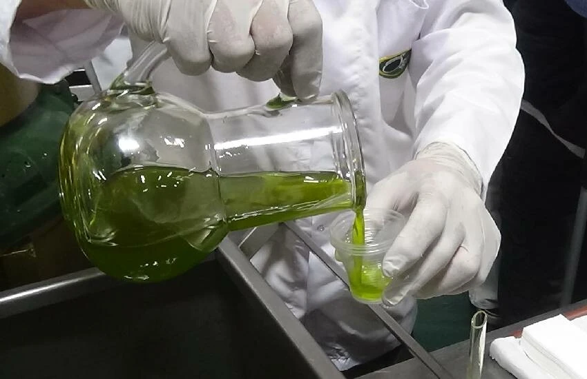 Zeytinyağında iki farklı tadı bir araya getirdiler ‘yok böyle lezzet’ dedirttiler! Şimdi paraya para demiyorlar…