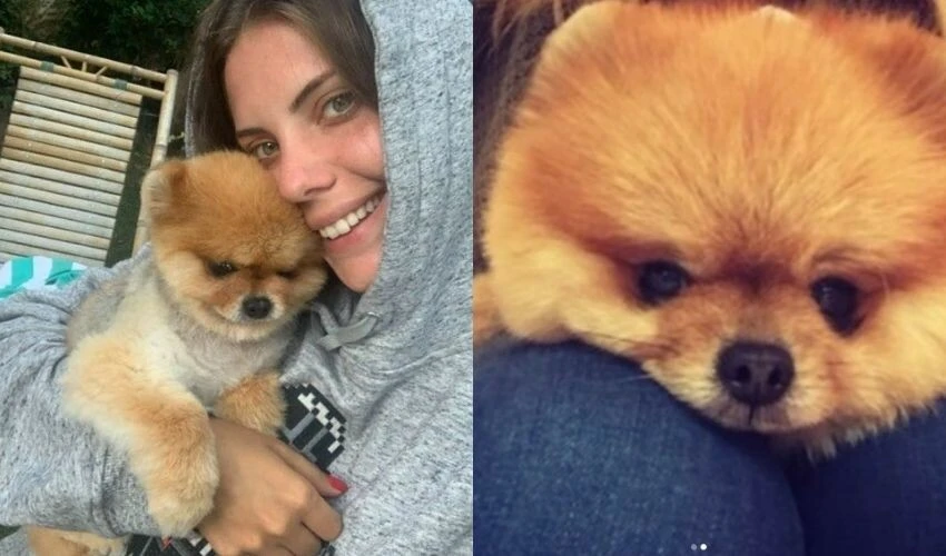 Bebeğini kucağına almak için gün sayan Eda Ece, aldığı acı haberle yıkıldı: Ailecek üzgünüz