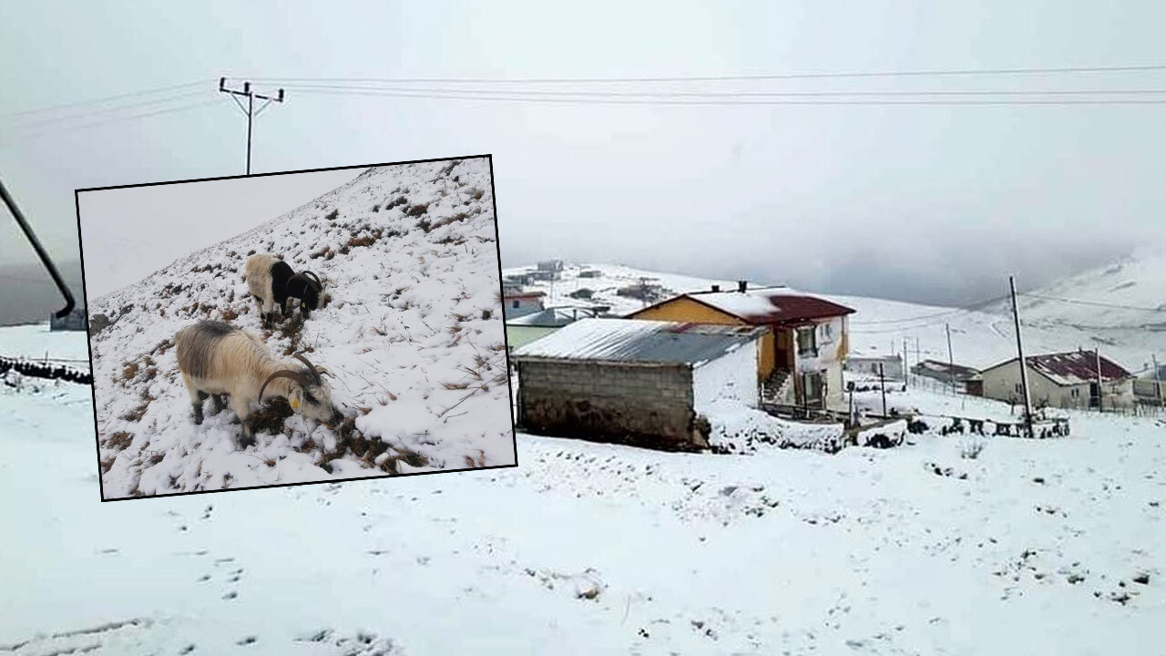 Doğuda kar yağışı ve sis etkili oluyor! Kar kalınlığı 10 santimetreye ulaştı