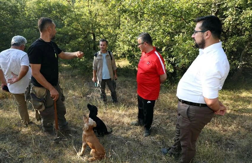 Kara elmasın kilosu 90 bin TL! Kralların yiyeceğini sadece özel eğitimli köpekler bulabiliyor…