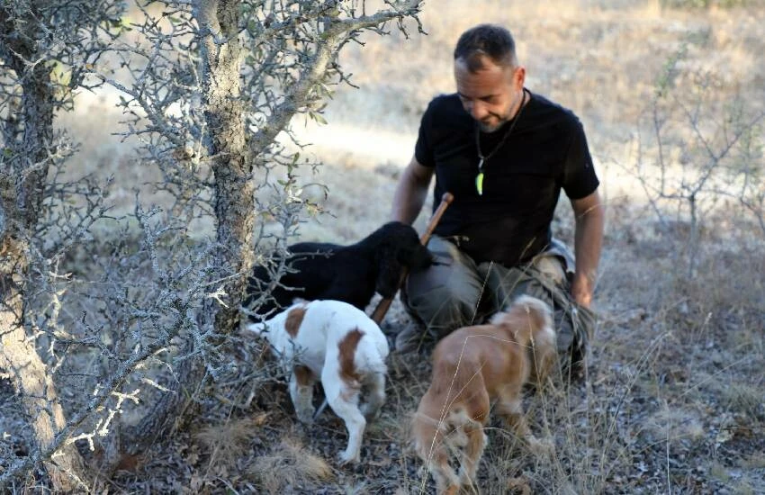 Kara elmasın kilosu 90 bin TL! Kralların yiyeceğini sadece özel eğitimli köpekler bulabiliyor…