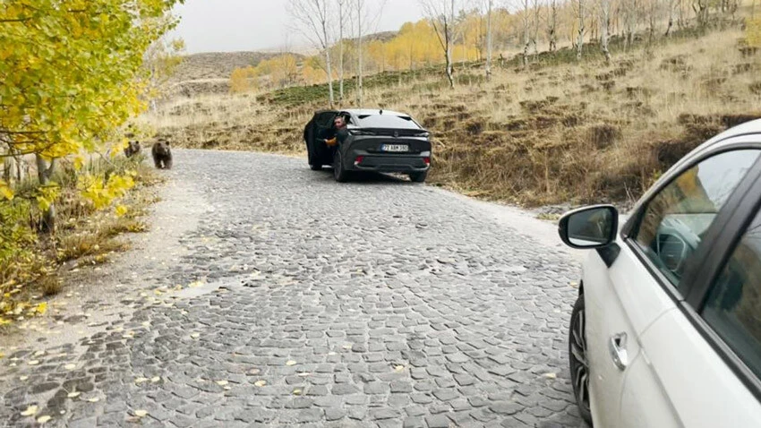 Düğün çekimi sırasında korkutan sürpriz