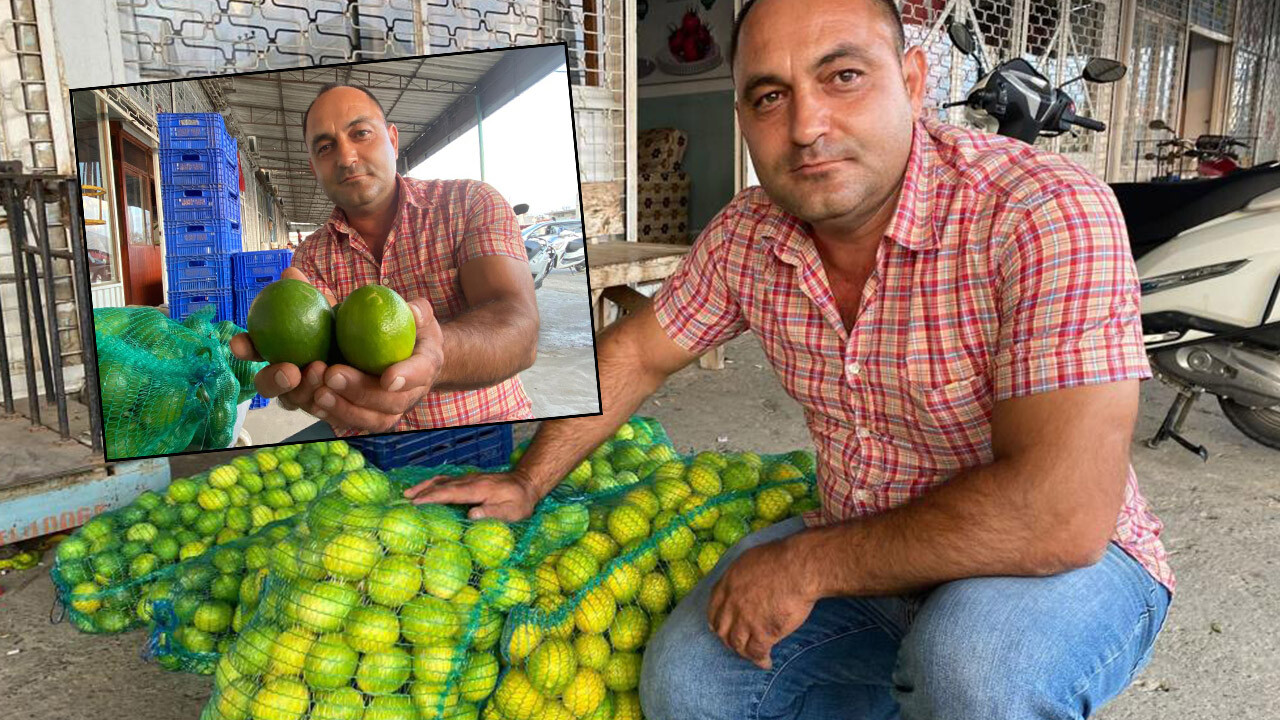 Fiyatı 3 yılda 4 lira düştü! Limon üreticisi alıcı bulamıyor