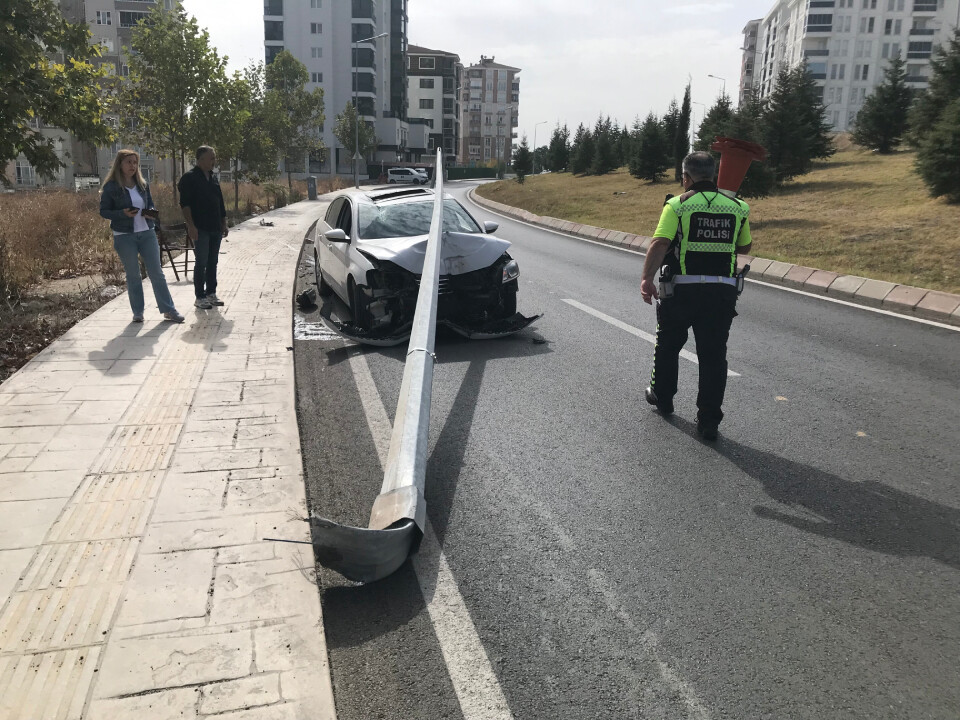 Edirne&#039;de ilginç olay: Sivrisinek kazaya neden oldu!