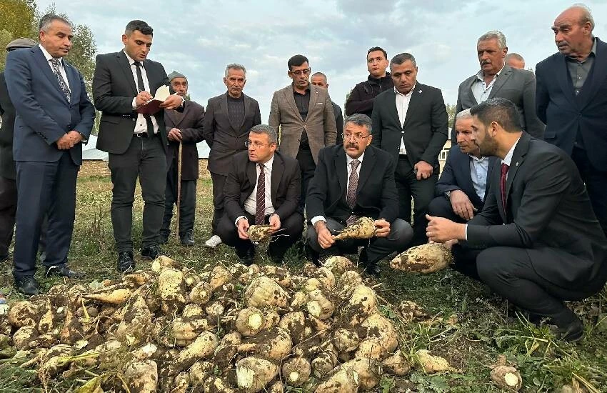 30 yıllık hasret son buldu: Şeker pancarı özlediği topraklara yeniden kavuştu! Topraktan bereket fışkırıyor…