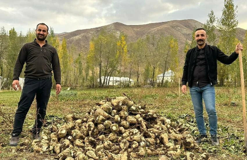 30 yıllık hasret son buldu: Şeker pancarı özlediği topraklara yeniden kavuştu! Topraktan bereket fışkırıyor…