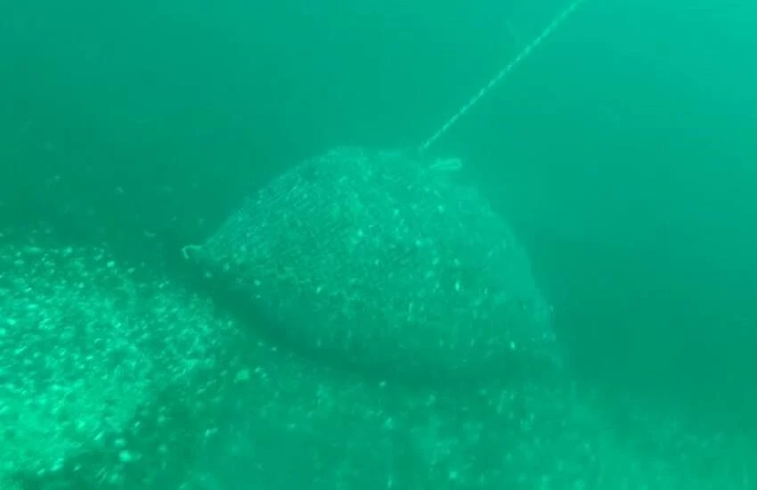 Kaçak avlanmayla mücadele devam ediyor! Denize zulalanmış 1,5 ton midye ele geçirildi…