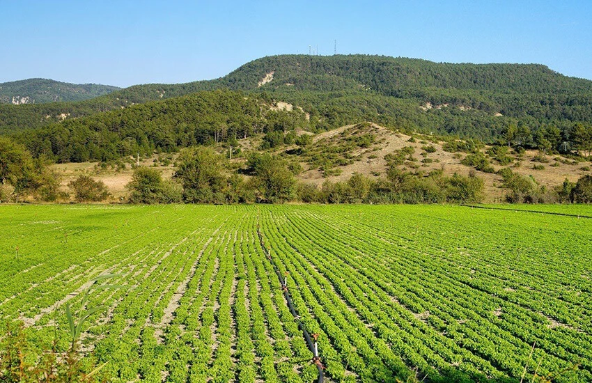 Kentsel dönüşüme hazine arazisi desteği: Milyonlarca metrekare TOKİ'ye devredildi