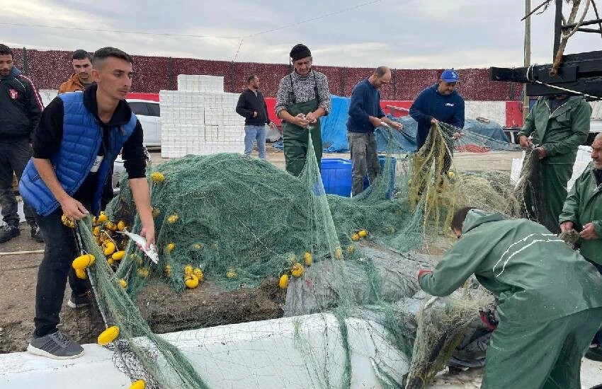 Denizlerin gözdesi geri döndü: 3 bin lüfer balıkçı ağlarına yakalandı!