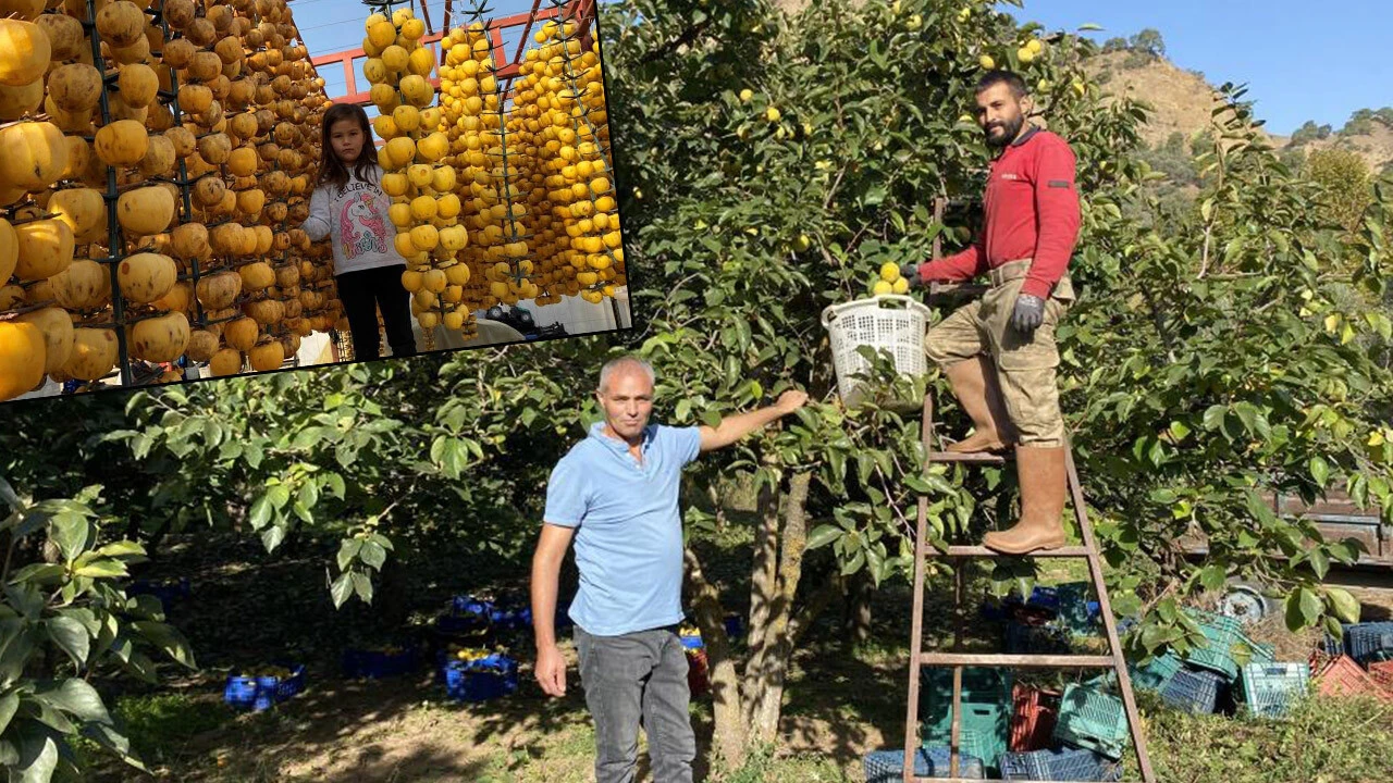 Rusya’nın taleplerine yetişemiyorlar! Manisa’dan dünyaya yayılan sağlık deposu: Yaşı 15, kurusu 200 lira…