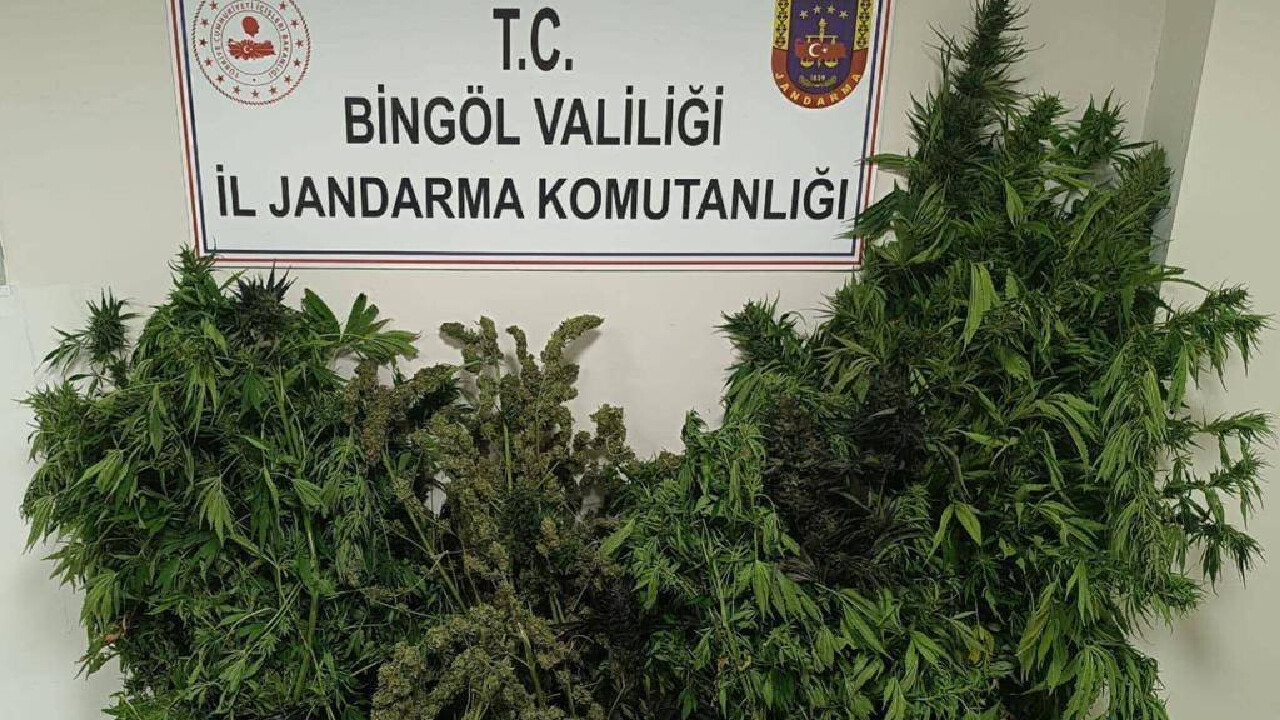 Bingöl&#039;de uyuşturucuya geçit yok: 50 kilo 998 gram esrar ele geçirildi!