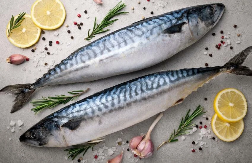 Sofralara 5 farklı lezzet daha eklendi: 4 balık ve 1 midye türü tescillendi!