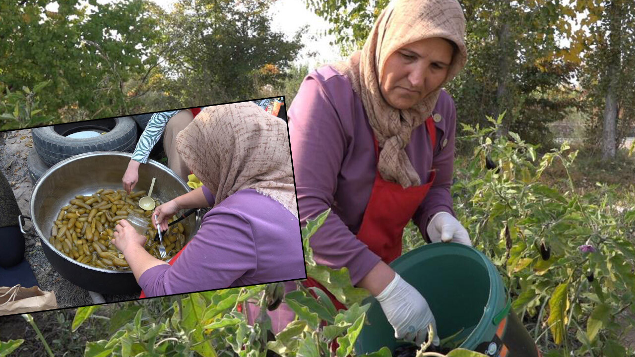 Duyanlar hayret ediyor! Doğu’nun Çukurova’sında patlıcan reçeli kazanç kapısı oldu