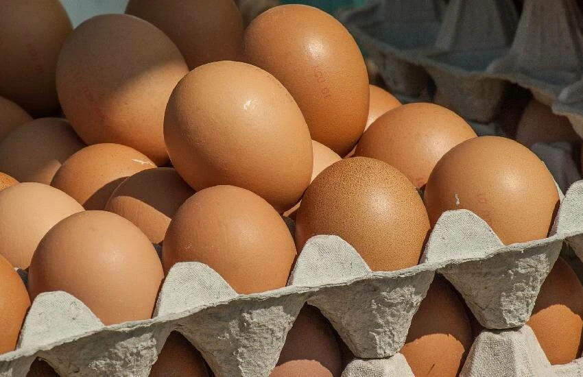 Rekabet Kurulu ‘en ağır ihlal’ dedi, yumurtacılara kartel suçundan rekor cezayı verdi!