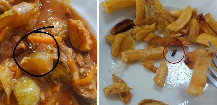 KYK yurdunda şoke eden görüntüler! Koridorlarda fare, yemeklerde sinek çıkıyor...