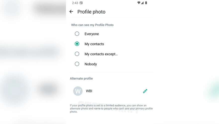 Gizlilik tutkunlarına WhatsApp'tan müjde! 'Alternatif profil' geliyor