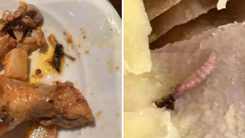 Akşener'in eleştirilerine Dilan Polat'tan cevap: Millete bizim faydamız daha çok