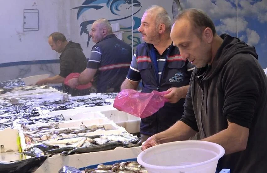 Küresel ısınma balık tezgahlarını vurdu, bir tek hamsi bol