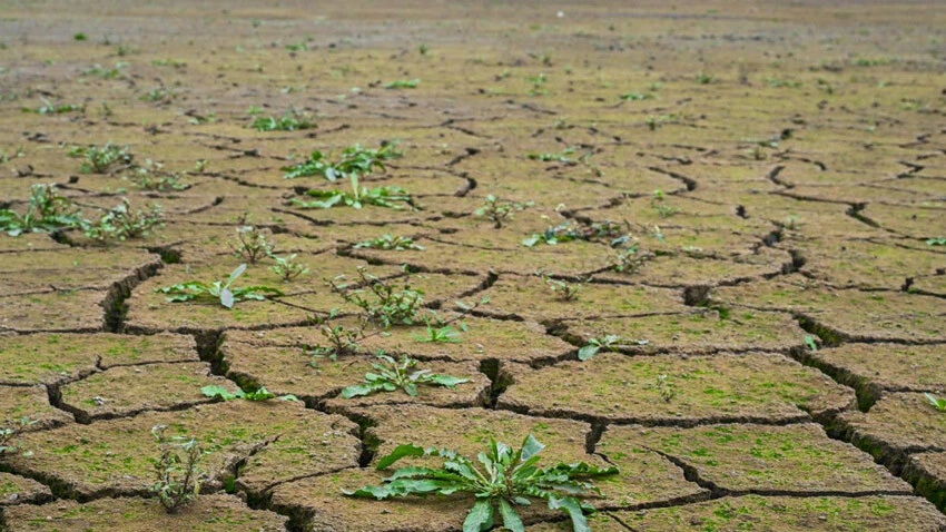 İstanbul barajları alarm veriyor! Sular çekildi, toprak kuruyup çatladı