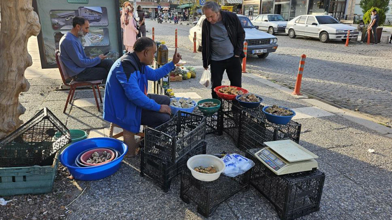Fiyatı tavuk ve balığı solladı! 3 çeşidi bulunuyor: Kırmızı melki sezonu başladı
