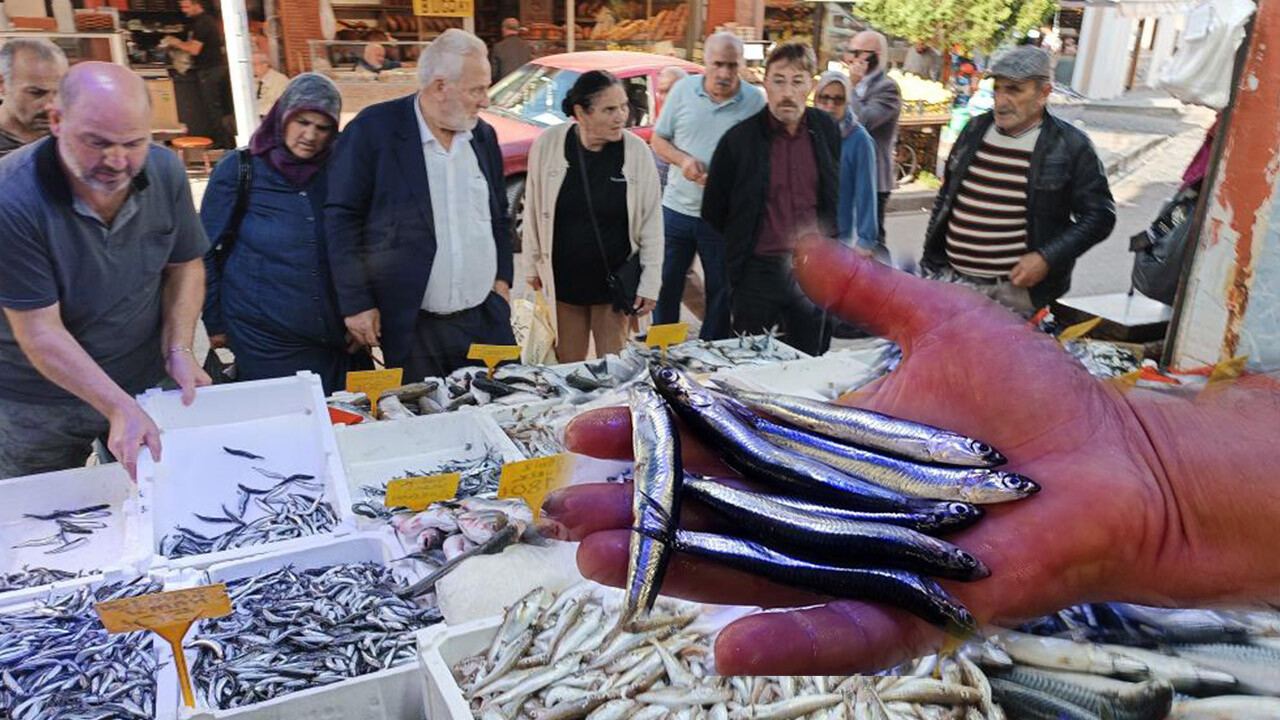 Bu yıl hamsi yılı! Bollaşan hamsinin fiyatı 70 lira birden düştü