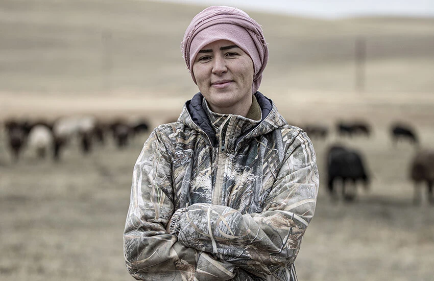 Çobanlığı da kendisi yapıyor! 3 yılda 300’e çıktı: Köyüne dönen mimar dev sürüsüyle paraya para demiyor