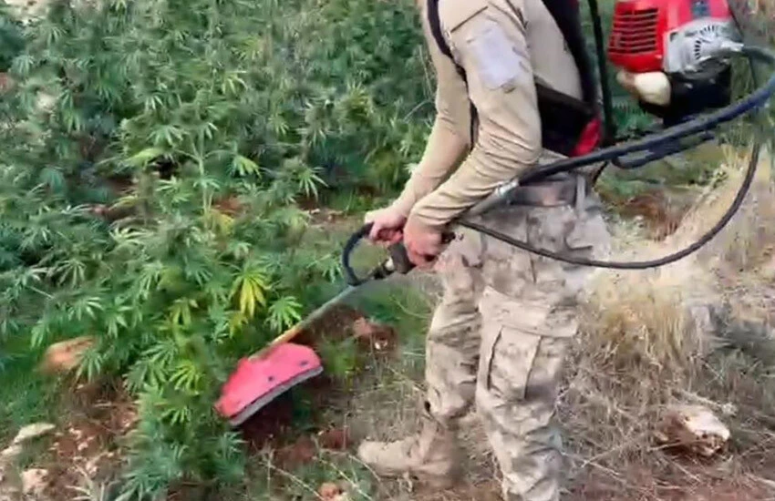 Diyarbakır Terörün finansmanına vurulan darbede çok sayıda uyuşturucu madde ele geçirildi.