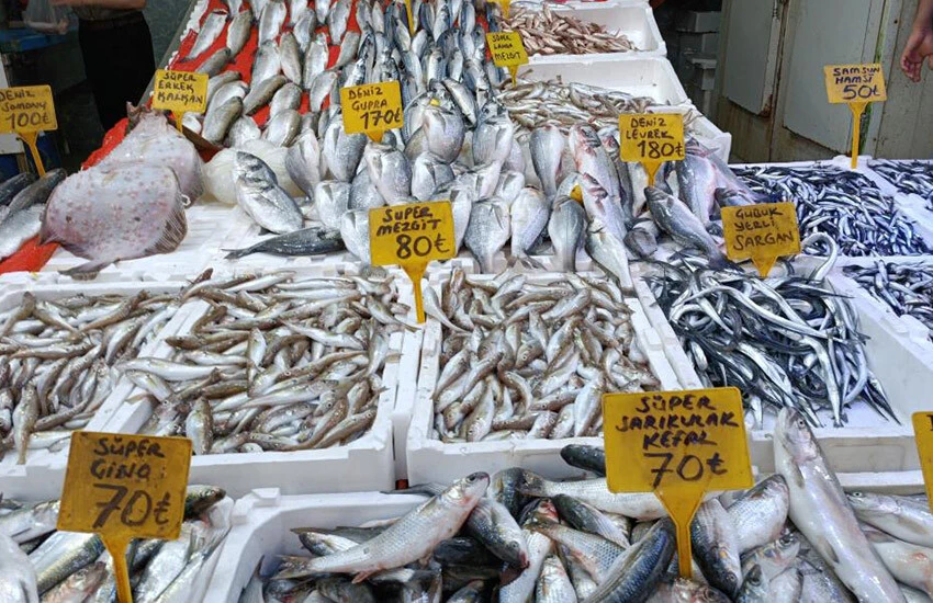 Tezgahlarda hamsi bolluğu yaşanıyor.