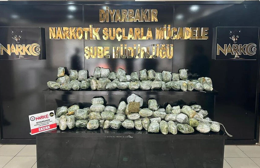 Cevizden uyuşturucu çıktı