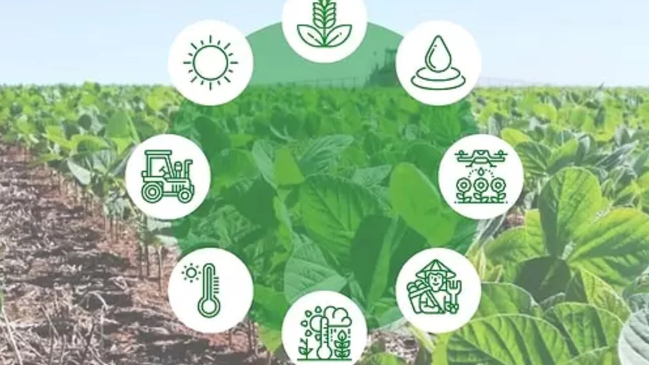 Rekor lot sayısı geliyor: Agrotech Yüksek Teknoloji kaç lot verir?