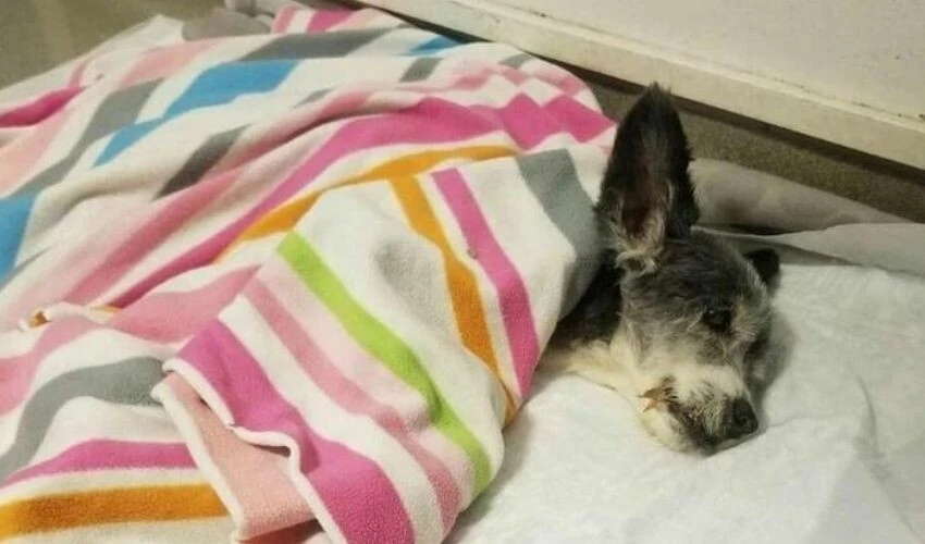 Kıvanç ve <a href=