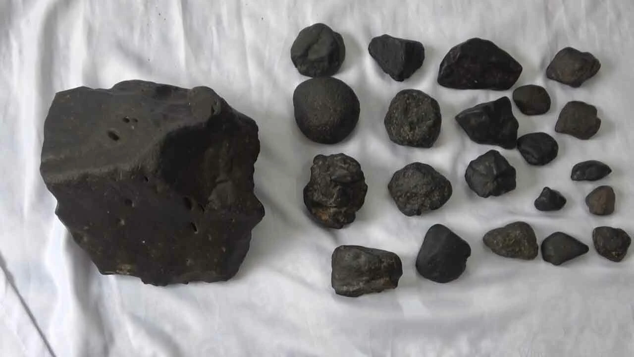 Mantar toplamaya çıktı, hayatı değişti! Tam 20 adet buldu... Her biri milyon değerinde